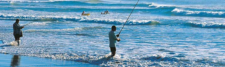 Sunshine Coast Beach Fishing